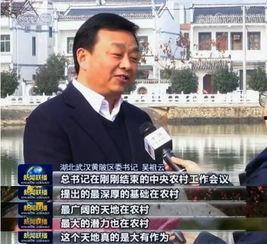 今日三乡新闻爆料,揭秘今日热点事件背后的真相