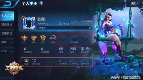 王者宋文爆料视频下载,游戏内幕大公开 第1张 王者宋文爆料视频下载,游戏内幕大公开 第1张