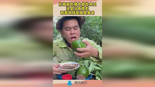 吃瓜大叔一免费吃瓜,吃瓜大叔带你畅享夏日清凉 第3张 吃瓜大叔一免费吃瓜,吃瓜大叔带你畅享夏日清凉 第3张